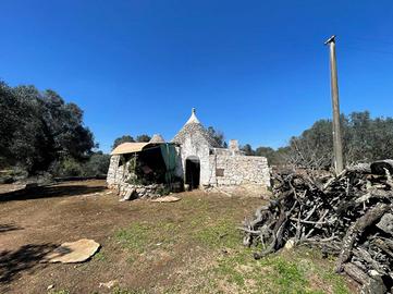 CASA DI CORTE A CEGLIE MESSAPICA