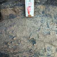 Pneumatici per trattore 16.9/28