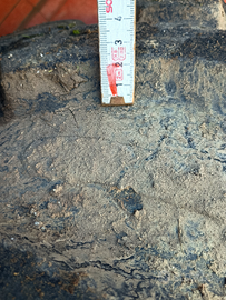 Pneumatici per trattore 16.9/28