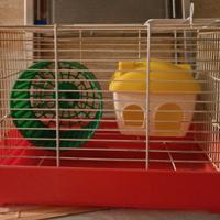 gabbietta per criceto 