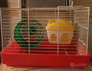 gabbietta per criceto 
