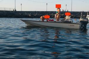Boston whaler 15 sport
