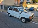 fiat-panda-1100-i-e-cat-young-gancio-traino