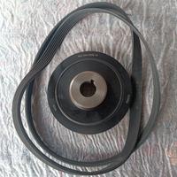 puleggia albero motore Peugeot 206