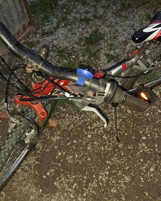 mountain bike ruote da 24