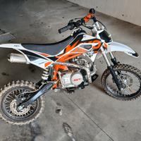 Divertimento Selvaggio con Kayo 110 4T