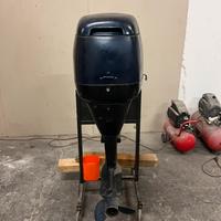 Selva Madeira 40
