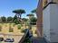 Immagine 15