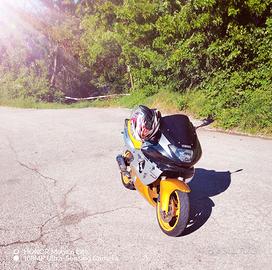 yamaha thundercat 600 