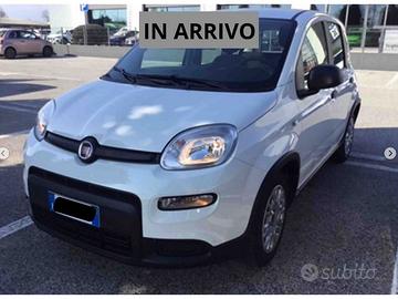 FIAT Panda 1.0 FireFly 70cv S&S Hybrid