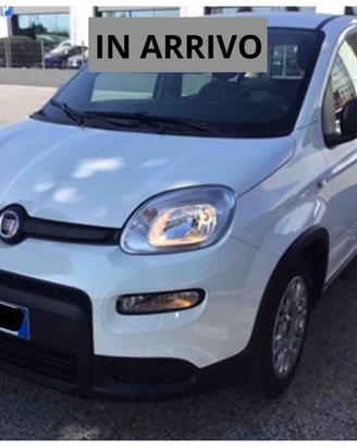 FIAT Panda 1.0 FireFly 70cv S&S Hybrid