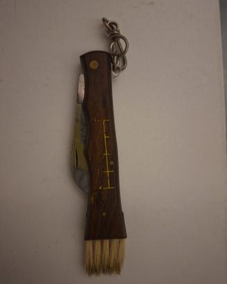 Coltello lama curva raccolta pulizia funghi