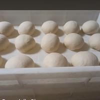 cassetti per palline pizza