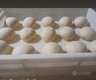 cassetti per palline pizza