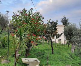 Casetta indipendente con giardino, c.da Scattiola