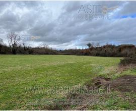 Terreno Agricolo Sutri [A4315721]