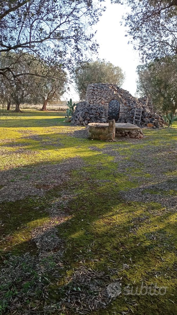 Terreno agricolo su Francavilla Fontana - Vista 4