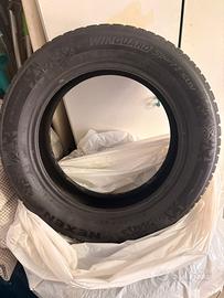 Gomme invernali NEXEN