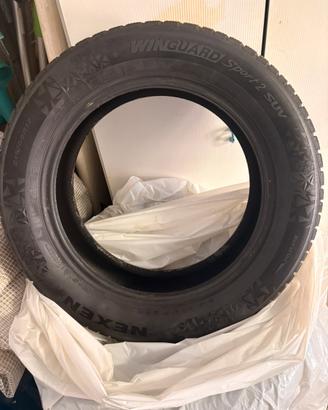 Gomme invernali NEXEN