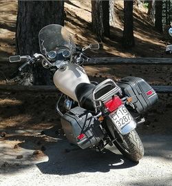 V 65 Florida bianco perla