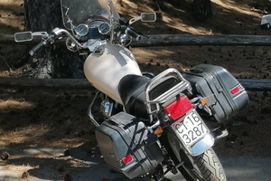 V 65 Florida bianco perla