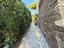 Immagine 29