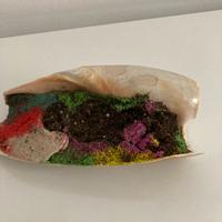 Conchiglia con terriccio