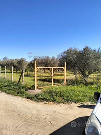 Terreno - Caltagirone