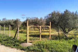 Terreno - Caltagirone