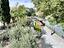 Immagine 28