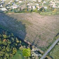 Ardea (RM) - Terreno 4,5 HA con pozzo | TR459