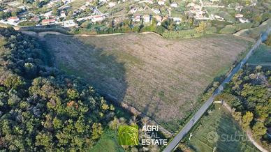 Ardea (RM) - Terreno 4,5 HA con pozzo | TR459