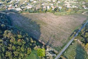 Ardea (RM) - Terreno 4,5 HA con pozzo | TR459