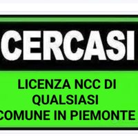 Licenza Ncc su Piemonte RILEVO