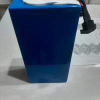 bici elettriche