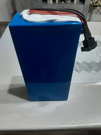 bici elettriche