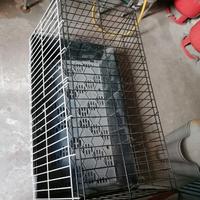 trasportino per cani