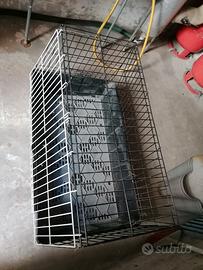 trasportino per cani