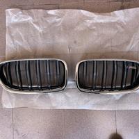 Griglia Bmw