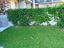 Immagine 25