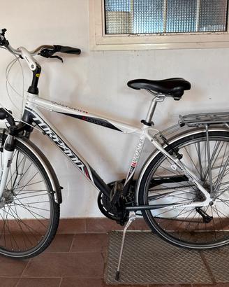 Bicicletta Torpado navigator T430