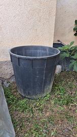 Recipiienti in plastica .