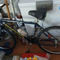 bicicletta botecchia 