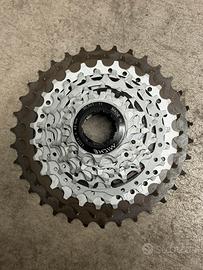 Pacco pignoni miche primato