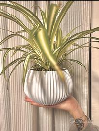 Vaso da interno di design