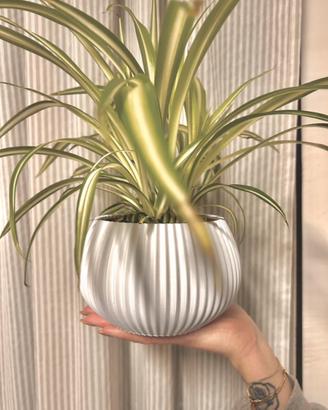 Vaso da interno di design
