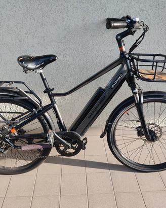 Bici elettrica Rad Power Bikes
