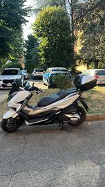 Honda forza 350 del 2021