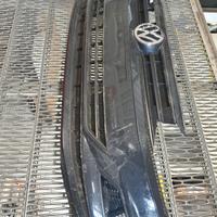 Musata Anteriore Polo 2018-2022