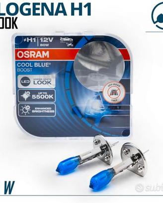 Lampadine H1 OSRAM Luce Bianca Fredda 5500K +50%